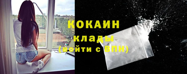 трава Богородицк