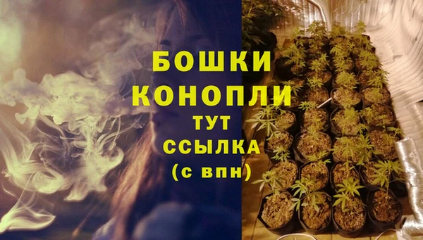 винт Богданович