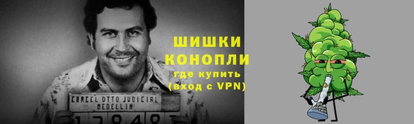 apvp Богородск