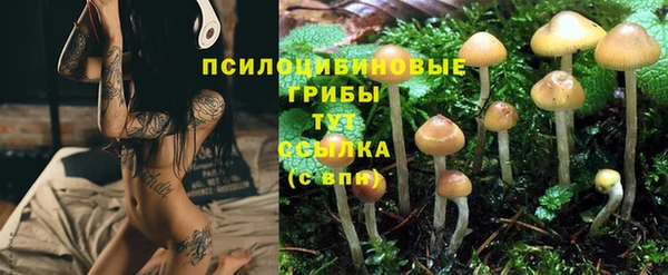 трава Богородицк
