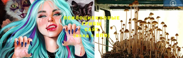 стаф Белоозёрский