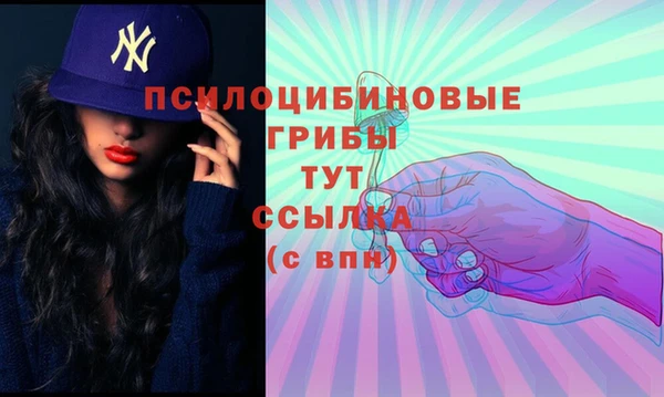 шишки Покачи