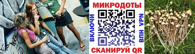 продажа наркотиков Соль-Илецк Псилоцибиновые грибы Psilocybe